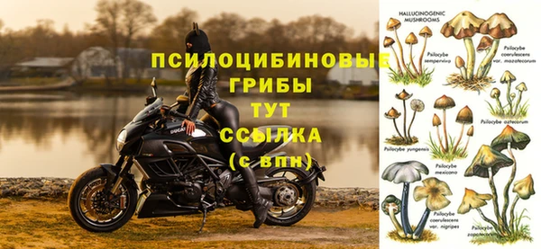 a pvp Арсеньев