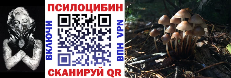 Галлюциногенные грибы Cubensis хочу наркоту Первомайск